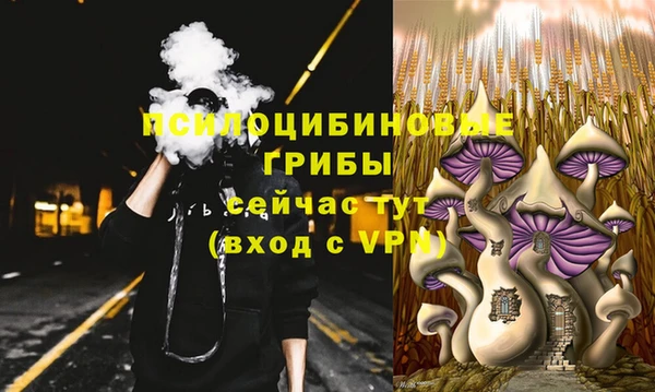 первитин Армянск